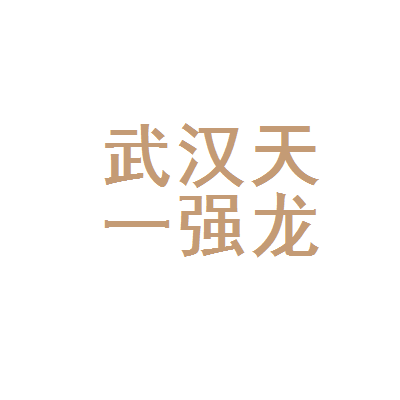 武汉天一强龙税务代理 专业服务助力企业稳健发展