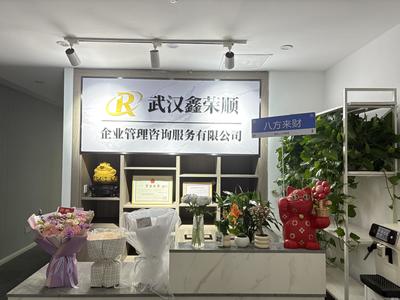 武汉税务咨询与税务代理 助力企业合规发展的专业支持