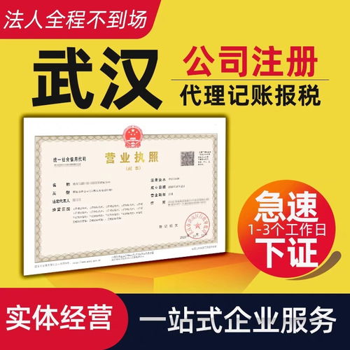 江岸区公司注册与代理记账服务，助您轻松创业