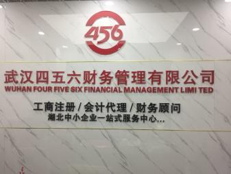 武汉税务报账咨询与代理服务全解析